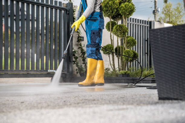 Best Soft Washing for Delicate Surfaces in Bradley Beach, NJ